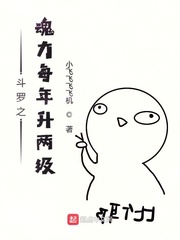 斗罗之魂力每