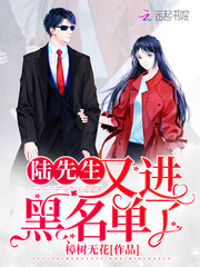 陆先生又进黑
