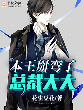 本王掰弯了总