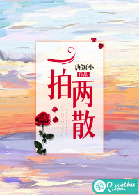陈念徐宴清小