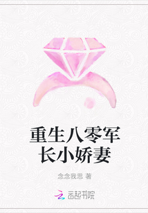 重生八零军长