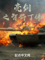 亮剑之智将丁