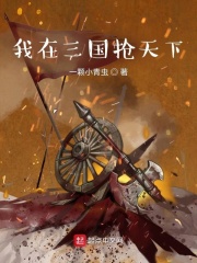 我在三国抢天