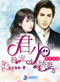 暖婚蜜爱：君