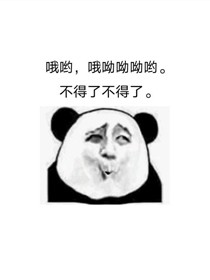 追星后我爆红