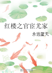 红楼之官宦尤