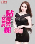 女神的贴身男
