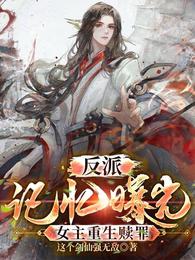 反派:记忆曝