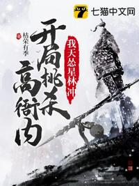 我天怂星林冲