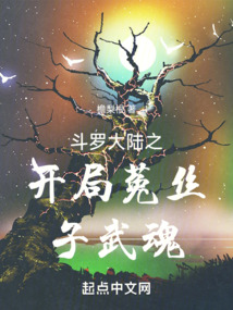 斗罗大陆之开