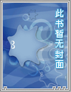 联邦的小狐狸