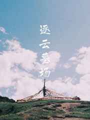 逐云墓场by