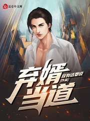 赘婿叶辰王佳