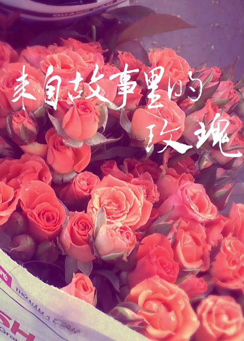 来自故事里的