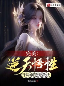 完美：逆天悟