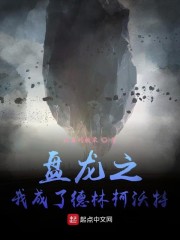 盘龙之我成了