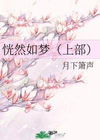 恍然如梦（上