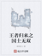 王者归来之国