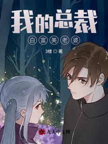 我的总裁白富