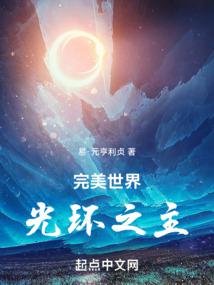 完美世界：光