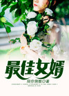 至尊女婿林羽