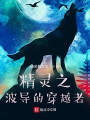 精灵之波导的