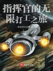 指挥官的无限