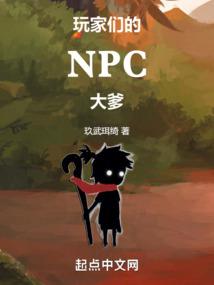玩家们的NP
