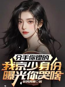分手你提的，