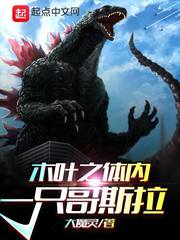 木叶之体内一