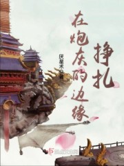 在炮灰的边缘