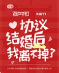 协议结婚后我