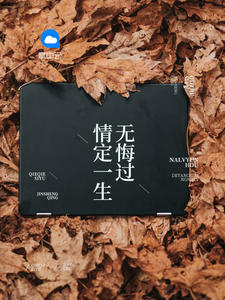 情定一生无悔