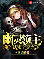 幽灵领主：我