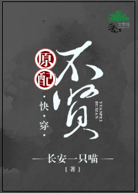 原配不贤（快