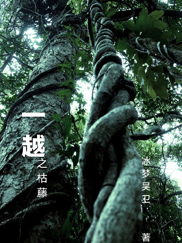 穿越种田文那
