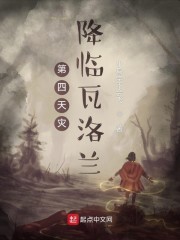 第四天灾降临