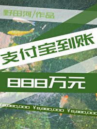 支付宝到账8