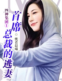 四神集团①：