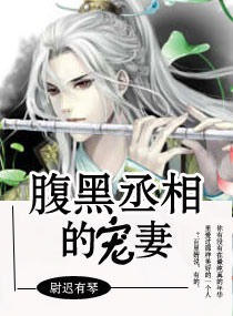 腹黑丞相的宠