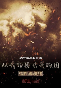 从我的团长我