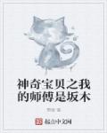 神奇宝贝之我
