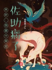 木叶：伪装十