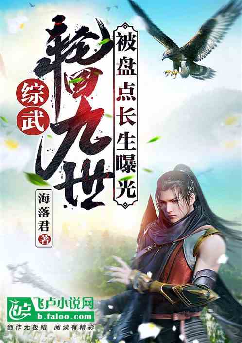 综武：轮回九