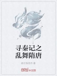 寻秦记之乱舞