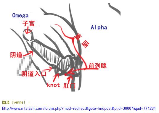 豪门艳事/军