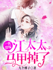一夜替嫁,江
