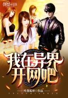 我在异界开网