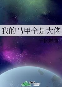 我的马甲全是