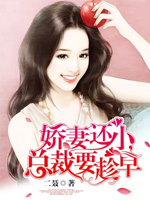 娇妻还小，总